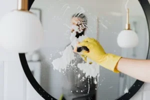 The Best Bathroom Cleaning Supplies