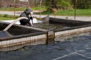 Septic Tank Cleaning: Space Necessary?